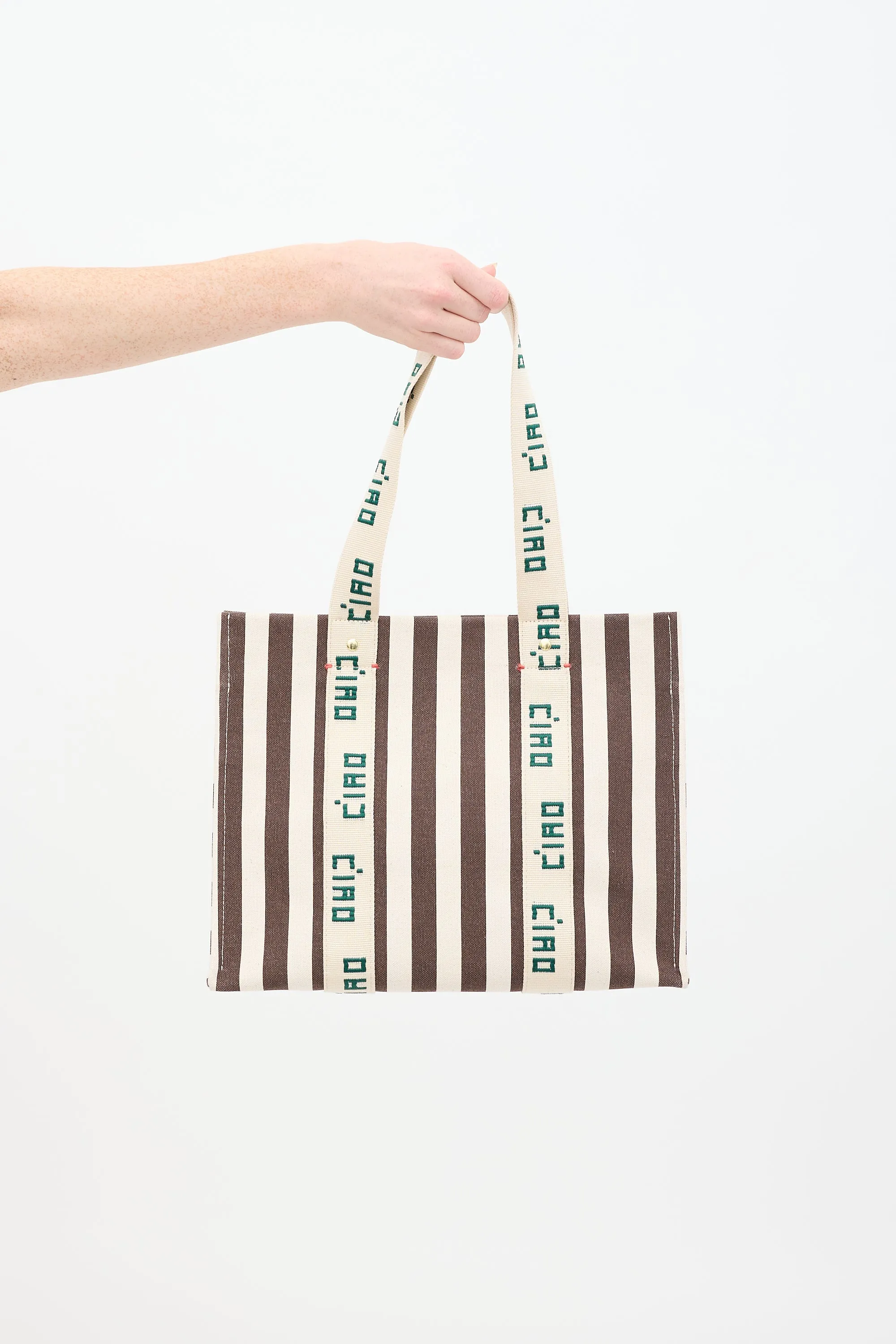 Beige & Brown Canvas Noemie Embroidered Striped Tote Bag