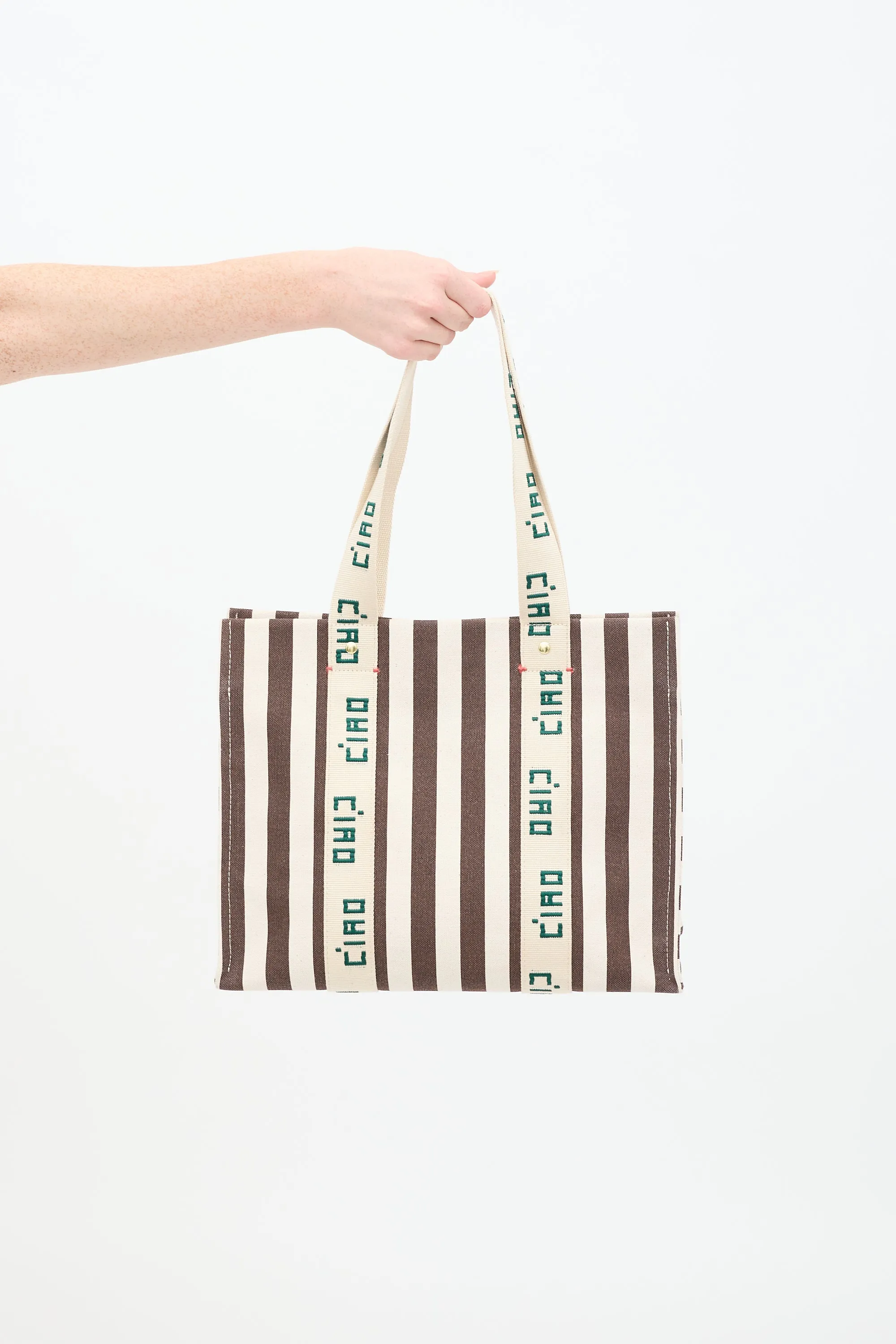 Beige & Brown Canvas Noemie Embroidered Striped Tote Bag