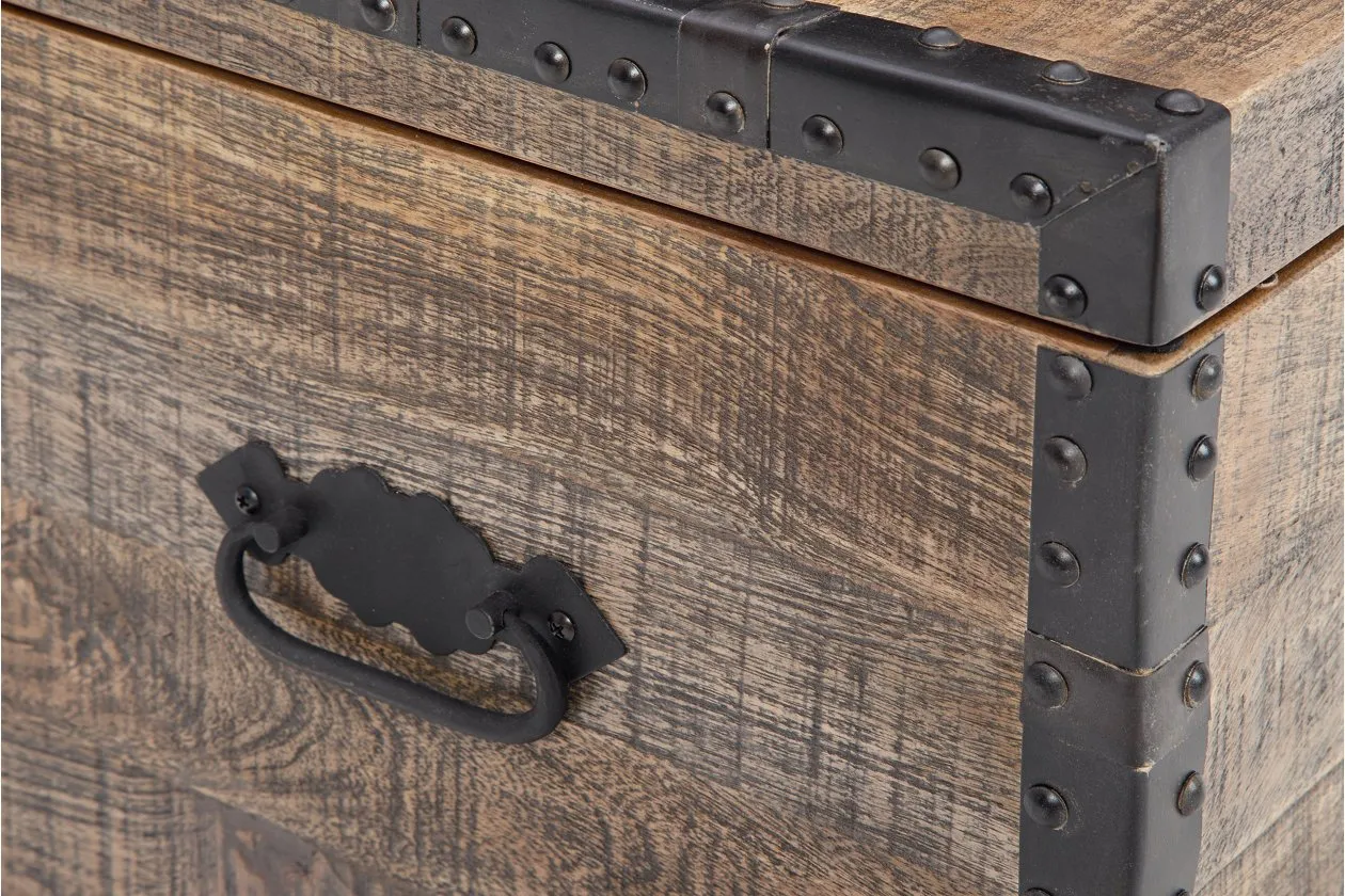 Dartland Distressed Gray Storage Trunk